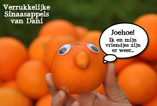 Sinaasappels van Dani