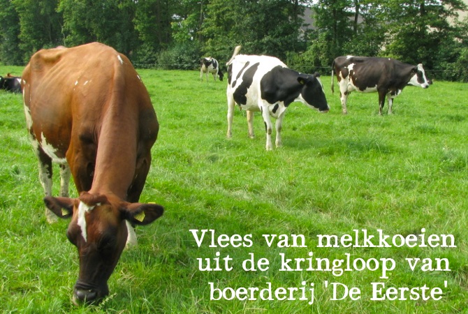 Vleespakketten van melkkoeien