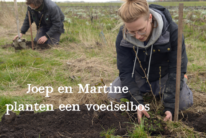 Joep en Martine planten een voedselbos