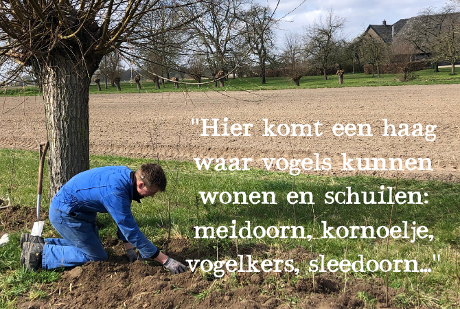 Mees en Ageeth planten volop voor biodiversiteit bij Landzicht