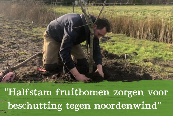 Beschutting tegen de Noordenwind hebben we nodig...