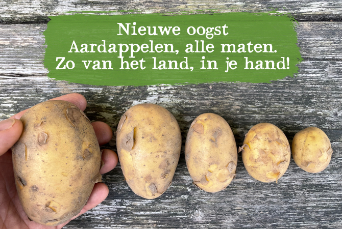 Aardappelen
