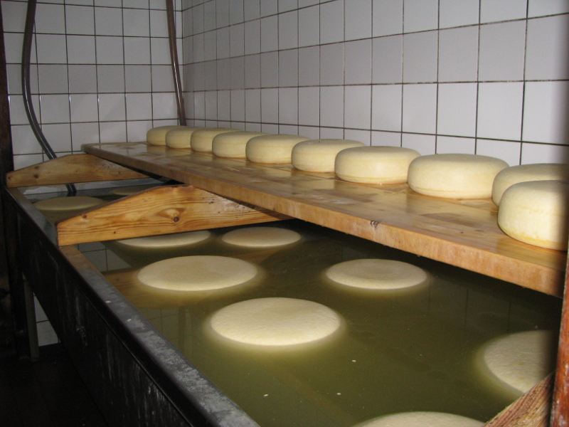 kaasmaken