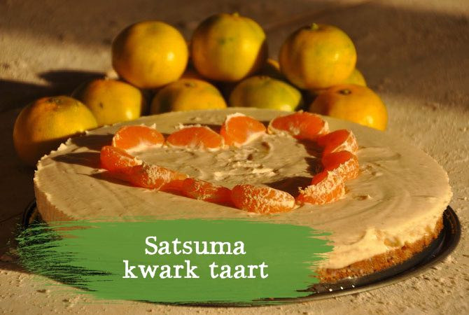 simpele kwarktaart simpele kwarktaart